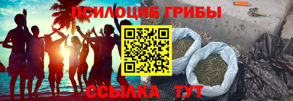 Галлюциногенные грибы Magic Shrooms Тимашёвск