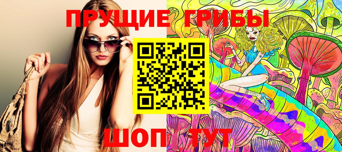 Псилоцибиновые грибы мицелий  Вход с VPN  Тимашёвск  даркнет сайт  Псилоцибиновые грибы Cubensis 